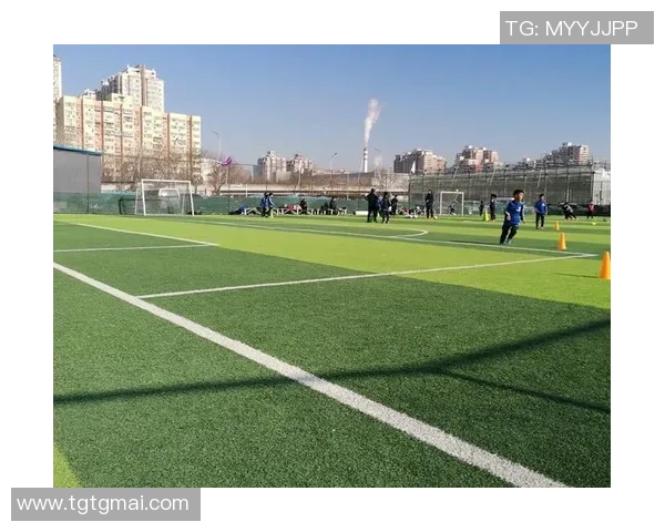 足球小孩的梦想旅程如何在绿茵场上绽放光彩与希望