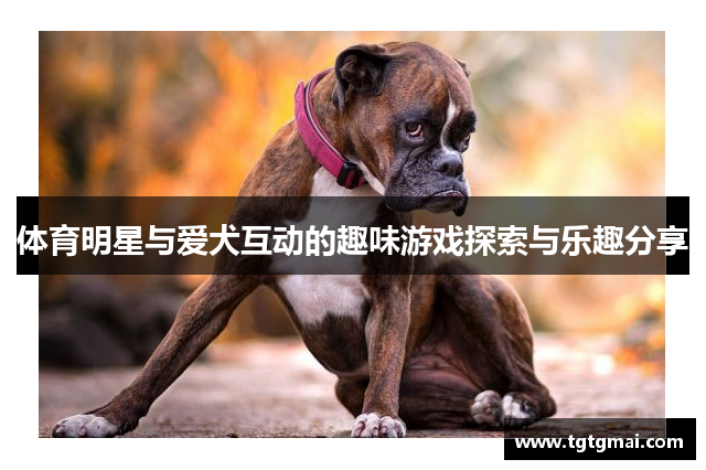 体育明星与爱犬互动的趣味游戏探索与乐趣分享